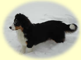 Ronja
